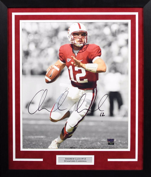 ANDREW LUCK AUTOGRAPHED STANFORD CARDINAL 16x20 FRAMED PHOTO PANINI