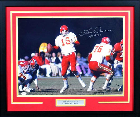 BRIAN CUSHING AUTOGRAPHED HOUSTON TEXANS 16x20 FRAMED PHOTO COA