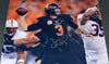 BRANDON WEEDEN SIGNED OKLAHOMA STATE COWBOYS FIESTA BOWL 16x20 PHOTO COA