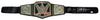 HULK HOGAN & RIC FLAIR AUTOGRAPHED WWE CHAMPIONSHIP WRESTLING BELT JSA