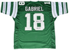 ROMAN GABRIEL SIGNED PHILADELPHIA EAGLES #18 GREEN JERSEY JSA W/ 1973 CBP