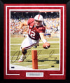 ANDREW LUCK AUTOGRAPHED STANFORD CARDINAL 16x20 FRAMED PHOTO PANINI