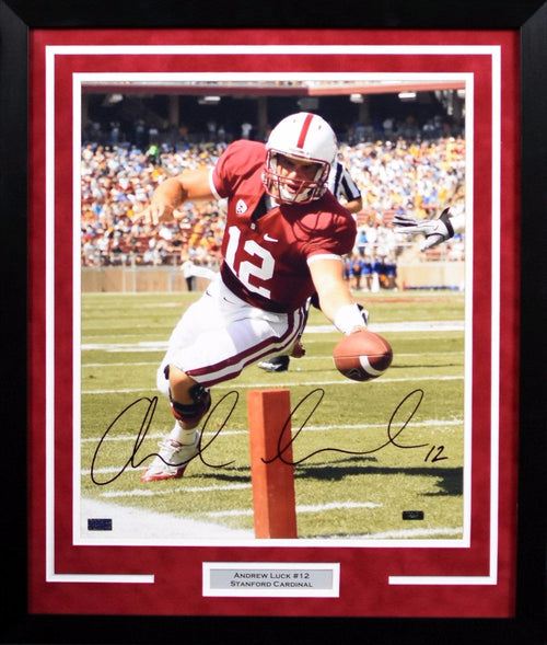 ANDREW LUCK AUTOGRAPHED STANFORD CARDINAL 16x20 FRAMED PHOTO PANINI