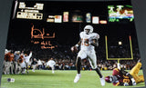 VINCE YOUNG SIGNED TEXAS LONGHORNS ROSE BOWL 16x20 PHOTO W/ 05 NATL CHAMPS