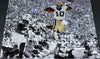 ROBERT GRIFFIN III RG3 SIGNED BAYLOR BEARS SPOTLIGHT 16x20 PHOTO JSA