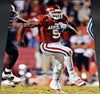 DARREN McFADDEN SIGNED ARKANSAS RAZORBACKS 16x20 PHOTO PSA/DNA
