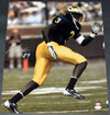 MARLIN JACKSON AUTOGRAPHED SIGNED MICHIGAN WOLVERINES 16x20 PHOTO JSA