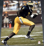 MARLIN JACKSON AUTOGRAPHED SIGNED MICHIGAN WOLVERINES 16x20 PHOTO JSA