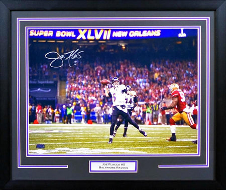 BRIAN CUSHING AUTOGRAPHED HOUSTON TEXANS 16x20 FRAMED PHOTO COA