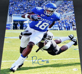 RANDALL COBB AUTOGRAPHED KENTUCKY WILDCATS 16x20 PHOTO JSA